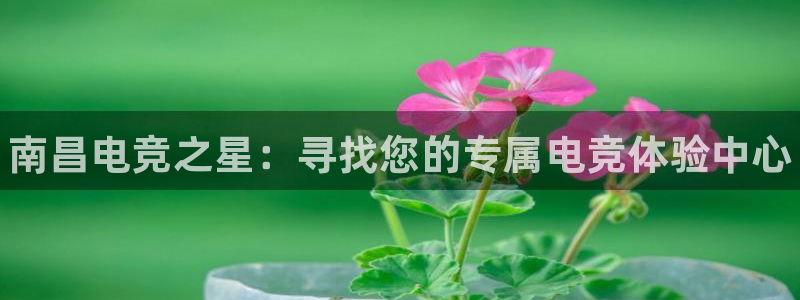 威客电竞官网下载：南昌电竞之星：寻找您的专属电竞体验中心
