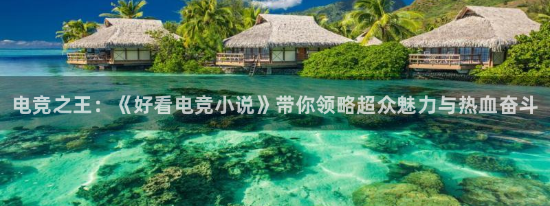 威客电竞VKGAME：电竞之王：《好看电竞小说》带你领略超众魅力与热血奋斗