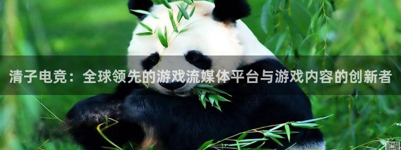 威客电竞 optic：清子电竞：全球领先的游戏流媒体平台与游戏内容的创新者