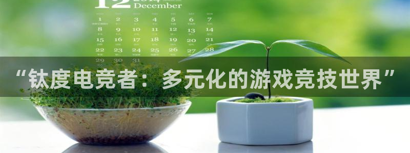 威客电竞测速：“钛度电竞者：多元化的游戏竞技世界”