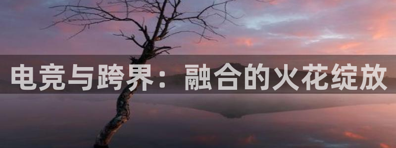 威客电竞客服：电竞与跨界：融合的火花绽放