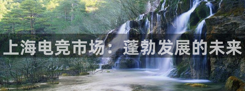 威客电竞官网下载：上海电竞市场：蓬勃发展的未来