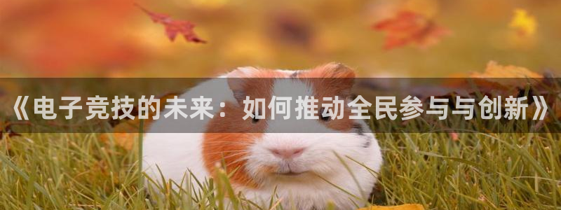 威客电竞客：《电子竞技的未来：如何推动全民参与与创新》