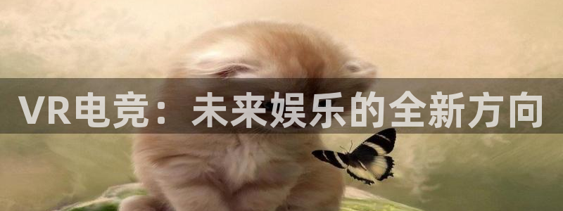 威客电竞客：VR电竞：未来娱乐的全新方向