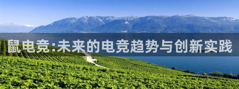 威客电竞网页版入口：鼠电竞:未来的电竞趋势与创新实践