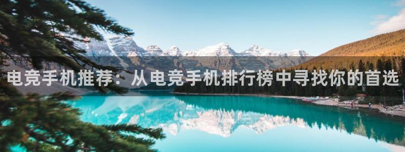 威客电竞官网下载：电竞手机推荐：从电竞手机排行榜中寻找你的首选