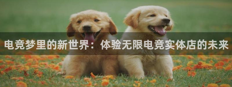 威客电竞·(中国)VKGAMING：电竞梦里的新世界：体验无限电竞实体店的未来