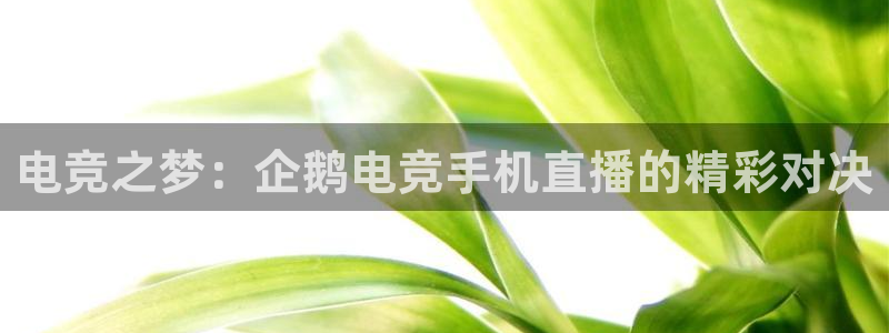 vkgame 威客电竞：电竞之梦：企鹅电竞手机直播的精彩对决