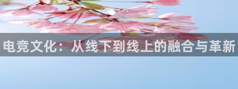 威客电竞官网登录入口：电竞文化：从线下到线上的融合与革新