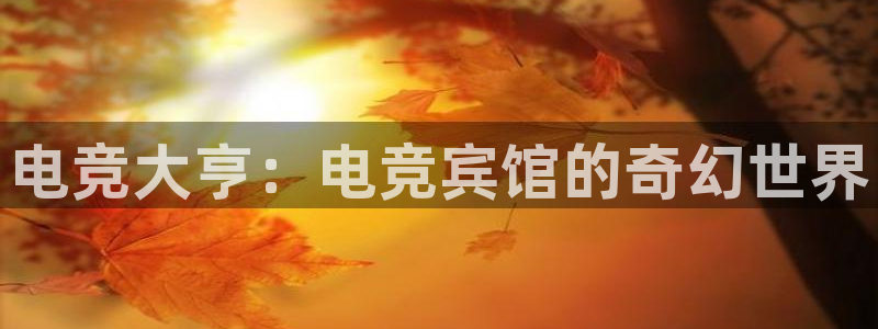 vkgame威客电竞：电竞大亨：电竞宾馆的奇幻世界