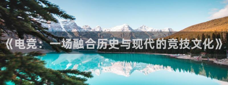 威客电竞酒店：《电竞：一场融合历史与现代的竞技文化》