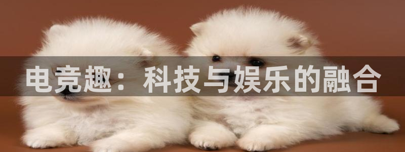 威客电竞·(中国)VKGAMING：电竞趣：科技与娱乐的融合