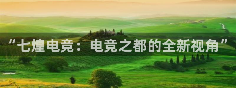 威客电竞测速：“七煌电竞：电竞之都的全新视角”