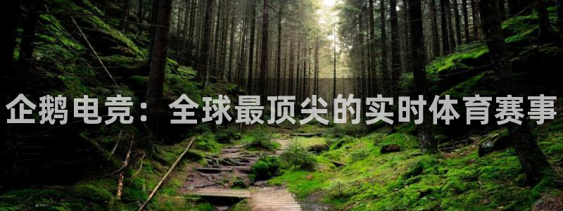 威客电竞vkgame官网：企鹅电竞：全球最顶尖的实时体育赛事