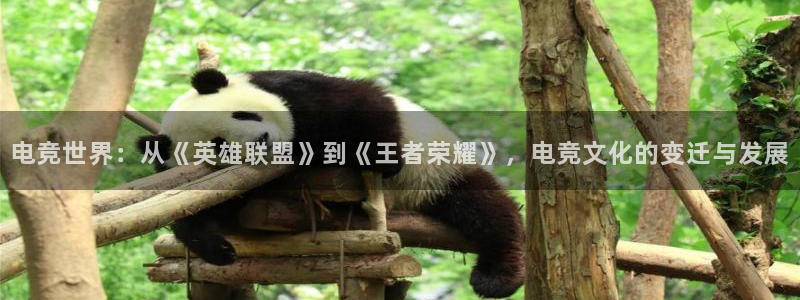 威客电竞客：电竞世界：从《英雄联盟》到《王者荣耀》，电竞文化的变迁与发展