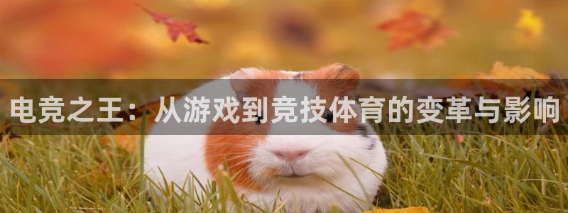 vkgame 威客电竞：电竞之王：从游戏到竞技体育的变革与影响