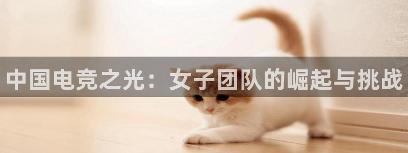 威客电竞vkgame官网：中国电竞之光：女子团队的崛起与挑战