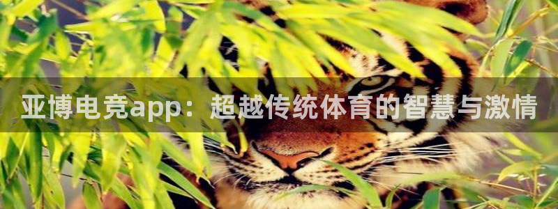 威客电竞集团：亚博电竞app：超越传统体育的智慧与激情
