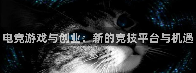 威客电竞网页版入口：电竞游戏与创业：新的竞技平台与机遇