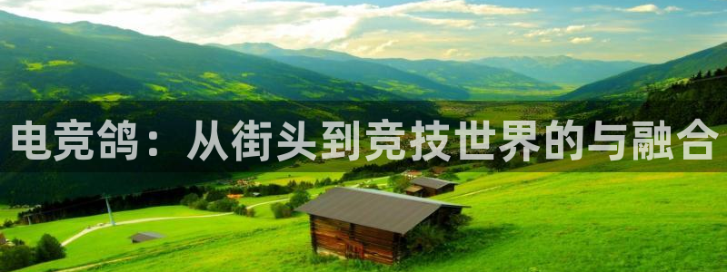 威客电竞官网登录入口：电竞鸽：从街头到竞技世界的与融合
