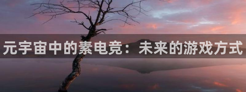 威客电竞集团：元宇宙中的素电竞：未来的游戏方式
