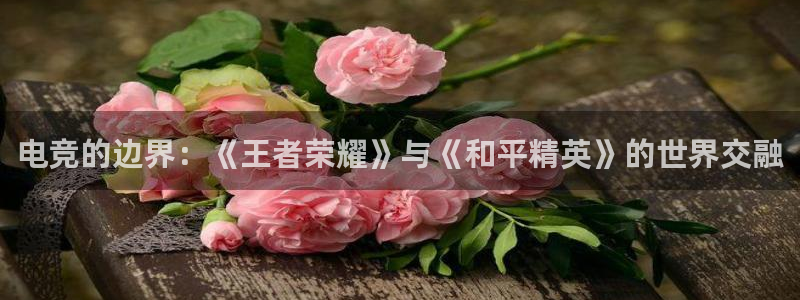 vkgame威客电竞：电竞的边界：《王者荣耀》与《和平精英》的世界交融