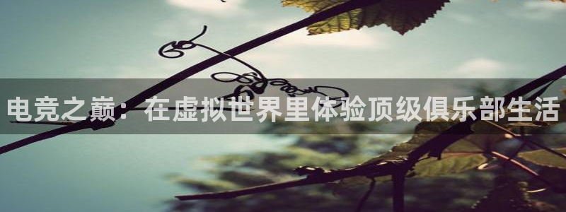 威客电竞 optic：电竞之巅：在虚拟世界里体验顶级俱乐部生活