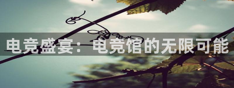 威客电竞集团：电竞盛宴：电竞馆的无限可能