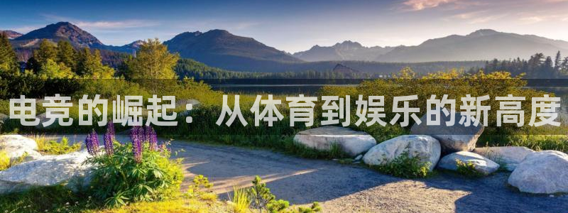 威客电竞 optic：电竞的崛起：从体育到娱乐的新高度