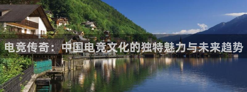 威客电竞集团：电竞传奇：中国电竞文化的独特魅力与未来趋势