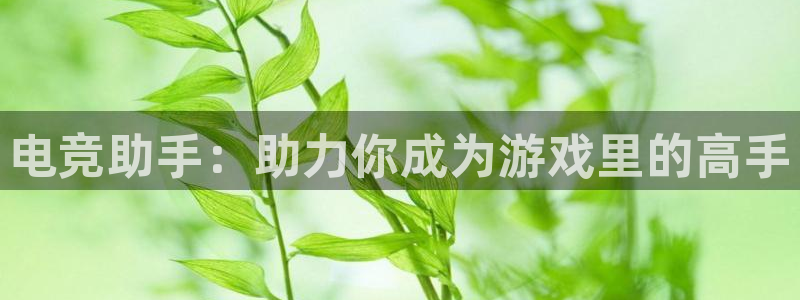 vk威客电竞：电竞助手：助力你成为游戏里的高手
