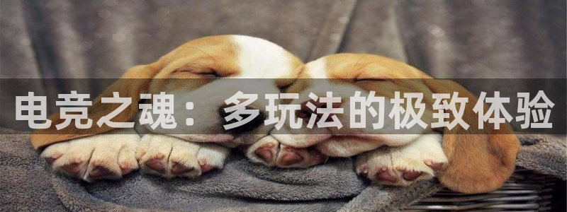 vk威客电竞：电竞之魂：多玩法的极致体验