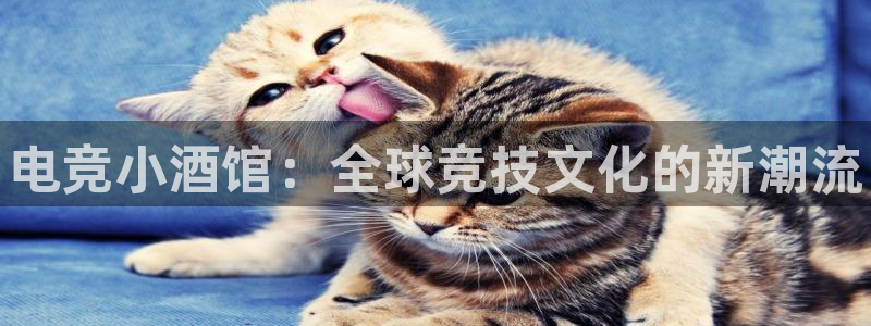威客电竞VKGAME：电竞小酒馆：全球竞技文化的新潮流