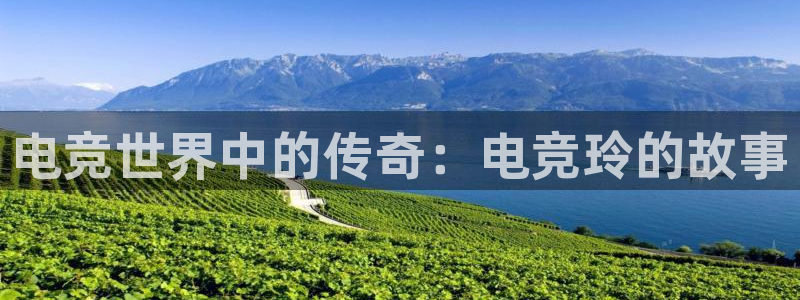 威客电竞官网：电竞世界中的传奇：电竞玲的故事