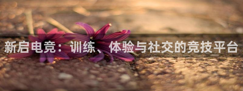 威客电竞吧官网安卓版：新启电竞：训练、体验与社交的竞技平台