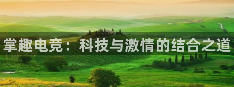 vkgame威客电竞：掌趣电竞：科技与激情的结合之道