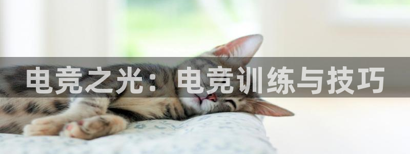 威客电竞 optic：电竞之光：电竞训练与技巧