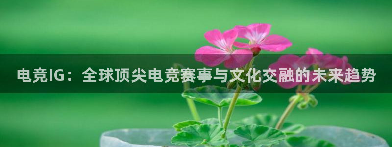 威客电竞客：电竞IG：全球顶尖电竞赛事与文化交融的未来趋势