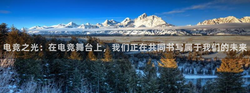 威客电竞网页版入口：电竞之光：在电竞舞台上，我们正在共同书写属于我们的未来