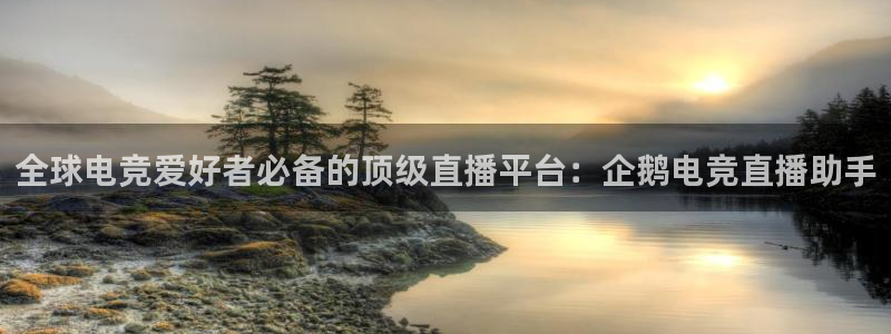 威客电竞网页版入口：全球电竞爱好者必备的顶级直播平台：企鹅电竞直播助手