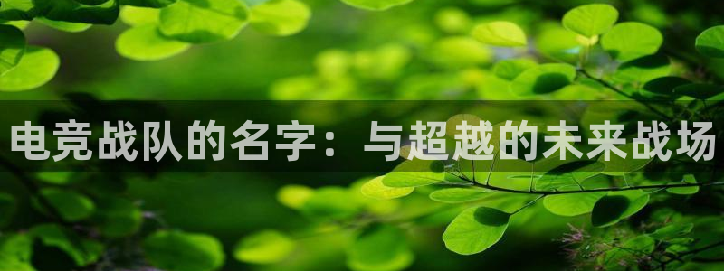 vkgame威客电竞官网：电竞战队的名字：与超越的未来战场