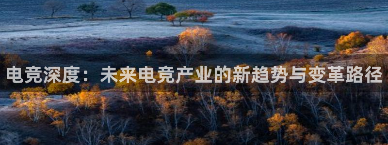 威客电竞测速：电竞深度：未来电竞产业的新趋势与变革路径